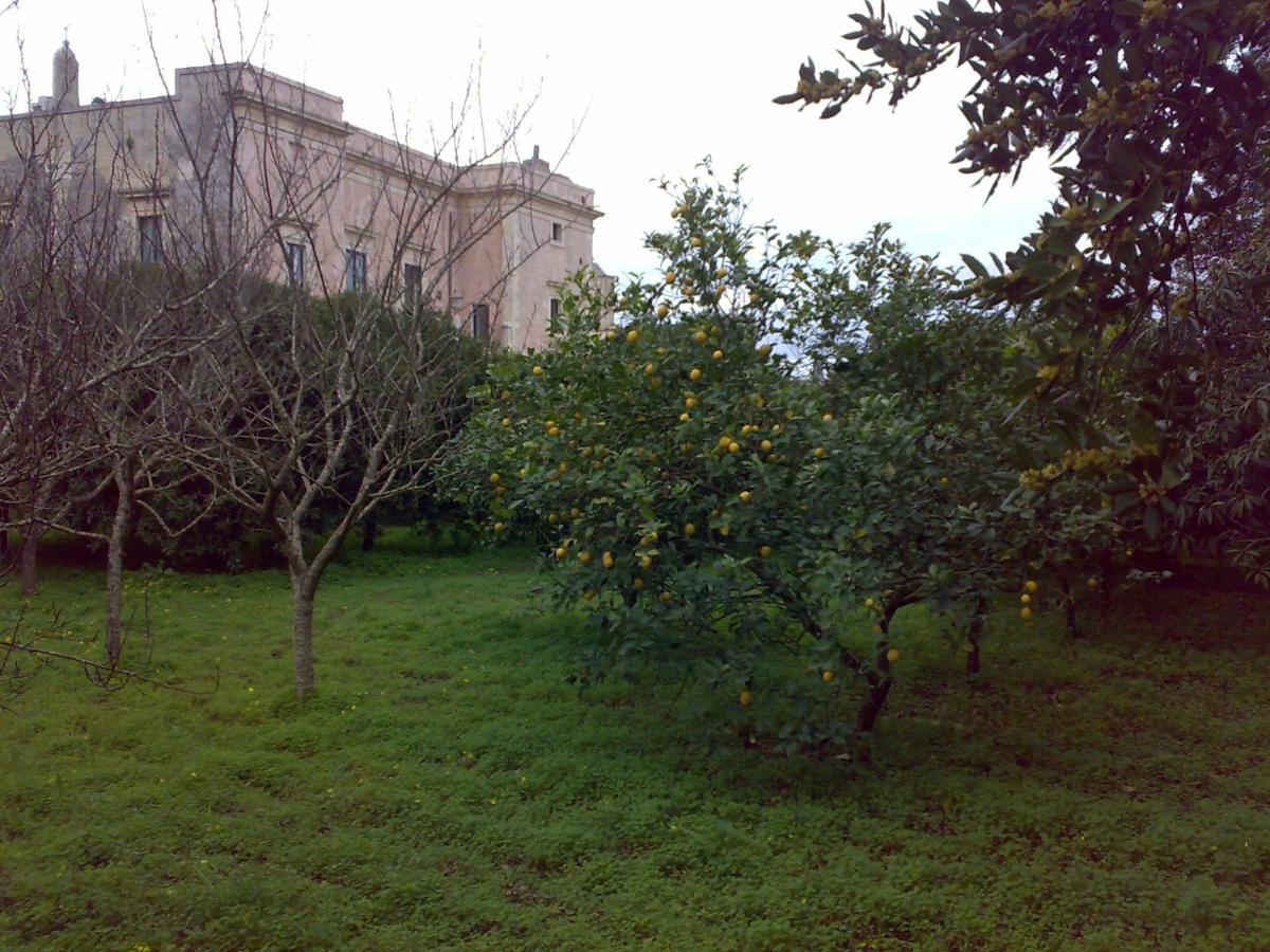 Aricelle Speziali Bed and Breakfast Specchia Gallone Buitenkant foto